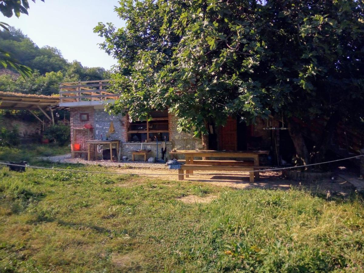 The House In The Village Pellumbas Exterior foto