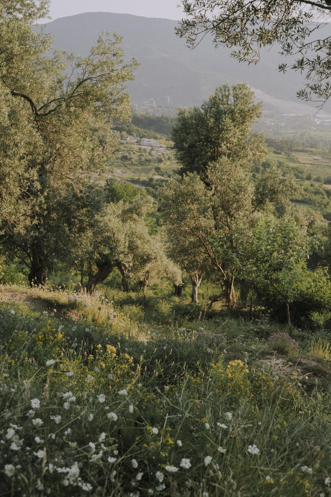 The House In The Village Pellumbas Exterior foto